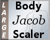 Body Scaler Jacob L