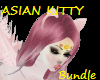 Asian Kitty Female