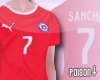 PP| Go Chile ! ~