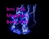 bmi1-16 Megaherz