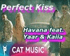 PERFECT KISS CAT MUSIC