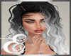 DOTTiE SILVER ℰ