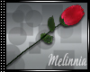 :Mel: Propose Rose