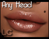 LC Any Head Lip Gloss v4