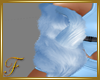 F: BLUE FUR COAT
