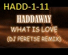 Haddaway-Wat-Is-Love