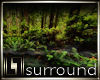 !LL! Forest Rm Surround