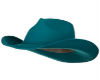 jean cowboy hat