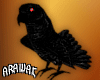 ak. shoulder parrot M