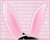 Bunny Ears V1