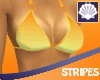 [summer]Orange Stripes