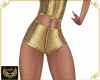 NJ] Sexy Gold lengerie B