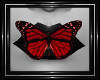 !T! Pets | Butterfly R