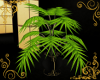 ~LG~ Potted plant 2