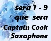 Captain Cook