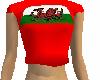 female welsh top