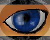 [BG] Dark Blue Eyes