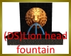 (DS)lion head fountain