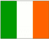 Flashing Proud Irish