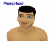 Plump Head