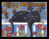 M Black Halloween Cat