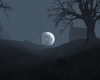 Whispering Path