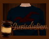 ⌡ Hollister Sweater