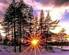 YM - WINTER DOME - TRIGG