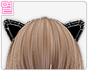 [Y] Kitty Ears Mesh