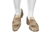 zapato