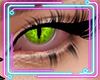 Green Cat Eye