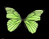 Butterfly Ore Green