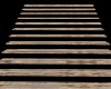Driftwood Beach Stairs
