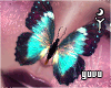Magic Butterfly N