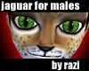 Jaguar Skin (Male)