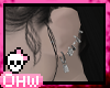 silver earrings
