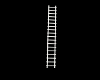 White Ladder Aminated