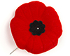 Rememberance day  pin