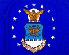 Animated Air Force Flag