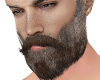 Mature Beard