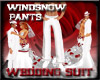 WindSnow pants