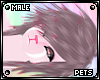 [PETS] Sove | hair v2