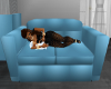 Baby Boy Nap Couch