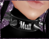 Mutt Collar