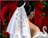 Pretty Wedding Veil