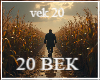 20 VEK