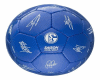 Schalke AnimadFootball2