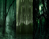 Dark Forest Room