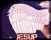 ~valkyrie wings