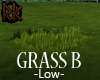 [RK]GrassB